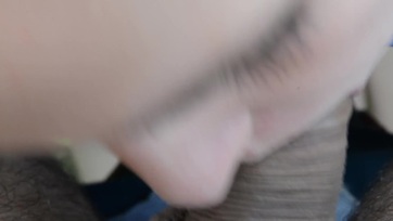 A szomszéd cafka oboája Thumb